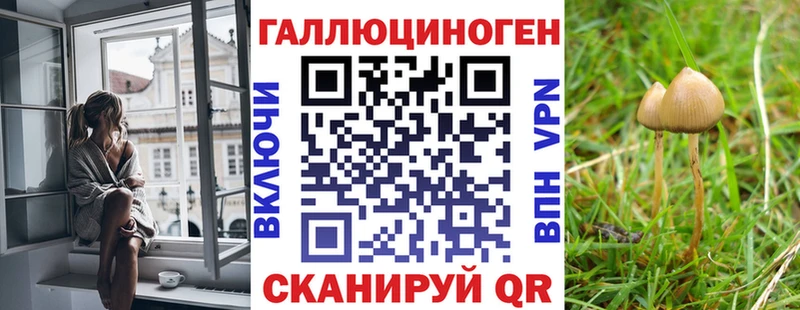 Галлюциногенные грибы Cubensis Новоалександровск